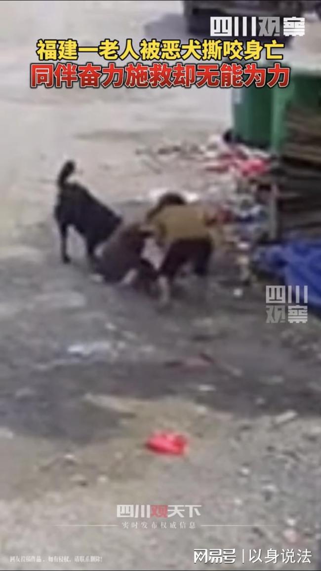 老人遭恶犬袭击身亡，悲剧背后的警醒与思考