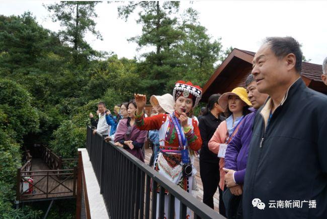 红河县文化广电体育和旅游局新任领导风采