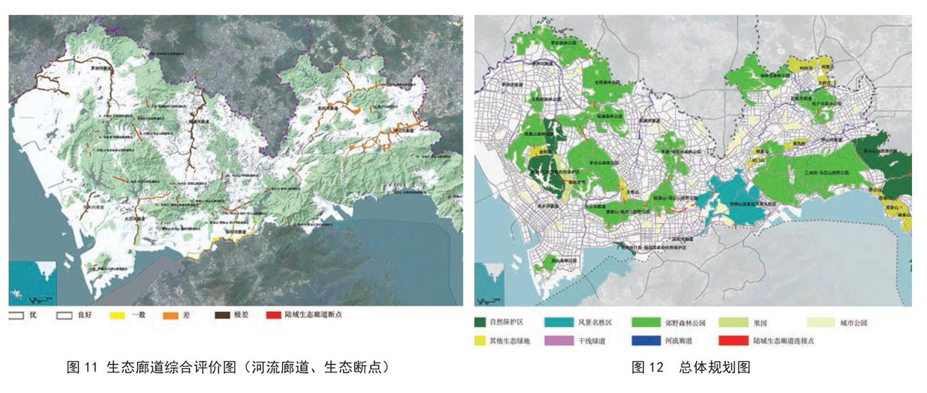 西双版纳傣族自治州市气象局最新发展规划