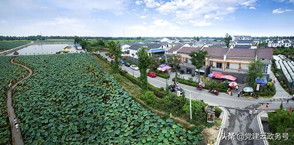 望江社区村最新项目，推动社区发展，提升居民生活质量